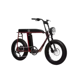 Urban Electric Cycle