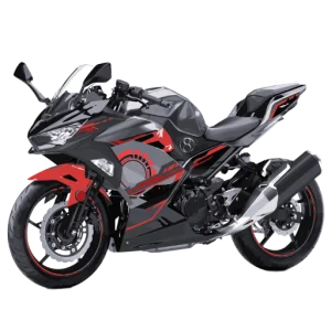 Street Smart Electric Bike