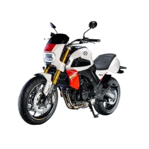 High- Efficiency EV Motorbike