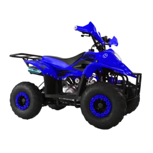 High Capacity Electric Quad Bike