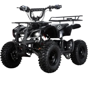 Long-Haul Electric ATV