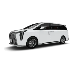 Family EV Compact Car