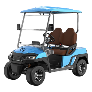 Extreme Performance Electric Buggies