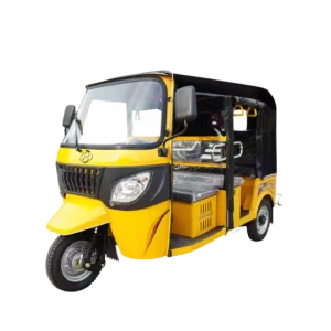 Sustainable Urban Electric Auto