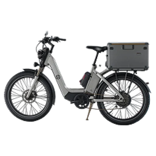 Cargo Bike