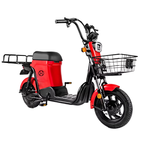 Urban Electric Delivery bike