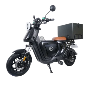 Compact Electric Delivery Bike