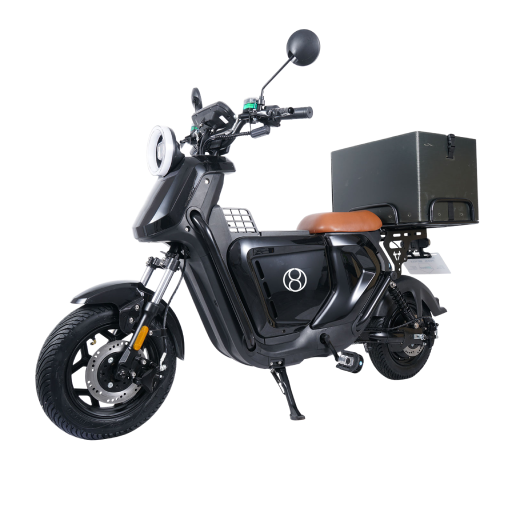 Compact Electric Delivery Bike