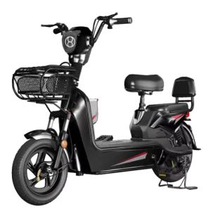 Dual Seat Electric Delivery Bike