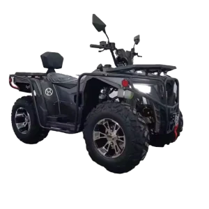 Off-Road Electric Quad Bike