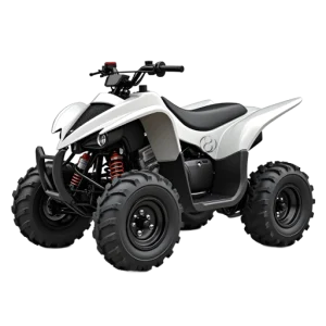 Long-Haul Electric Quad Bike