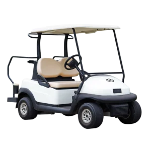 Compact Electric Buggies