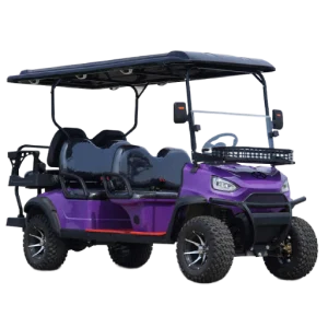 High-Power Electric Buggies