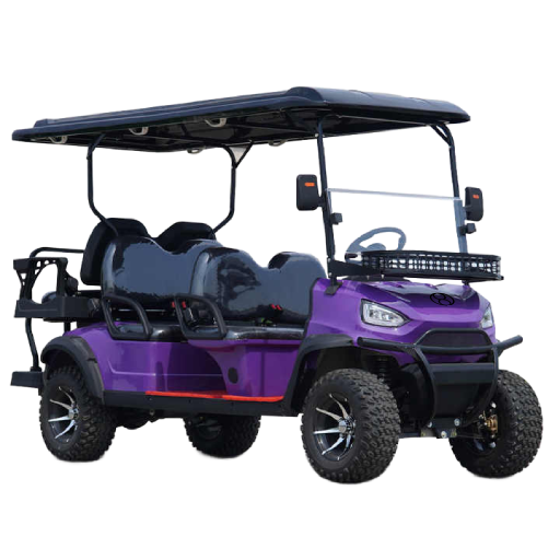 High-Power Electric Buggies
