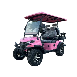 Dirt Track Electric Buggies