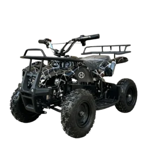 Heavy-Duty Electric Quad Bike