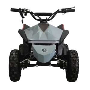 Industrial Ride Electric Quad Bike