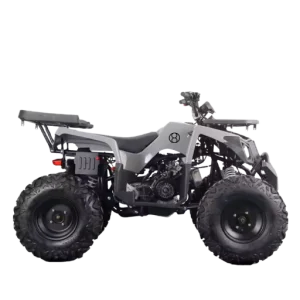 High-Power Electric Quad Bike