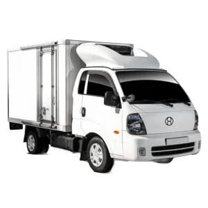 Refrigerated Mini Van